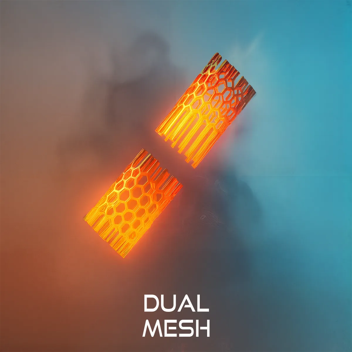 dual mesh